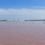 Del Sur Torrevieja