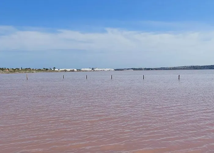 Del Sur Torrevieja